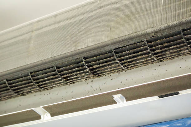 Best HVAC Air Duct Cleaning  in Rushville, NE
